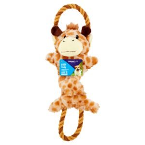 Vibrant Life Cozy Buddy with Rope Dog Toy, Characters